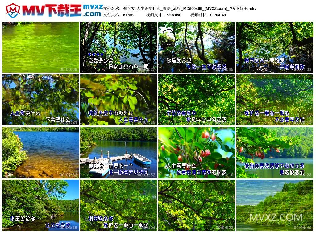 张学友-人生需要什么_粤语_流行_MD500469